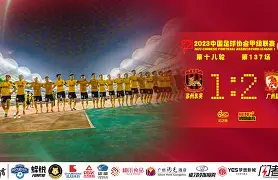 汉堡球队介绍